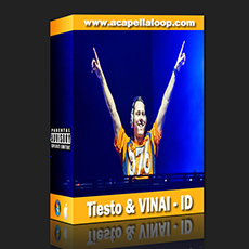 Tiesto & VINAI - ID(FL Studio工程)